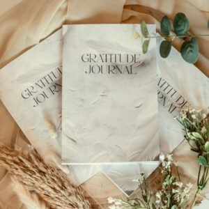 Gratitude Journal (White Feather)